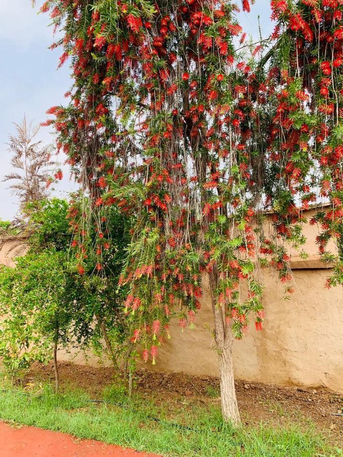 Villa Yanii Siin Marrakesh Esterno foto